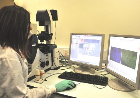 Dr Abigail Lay Female researcher at her desk looking at computer monitors