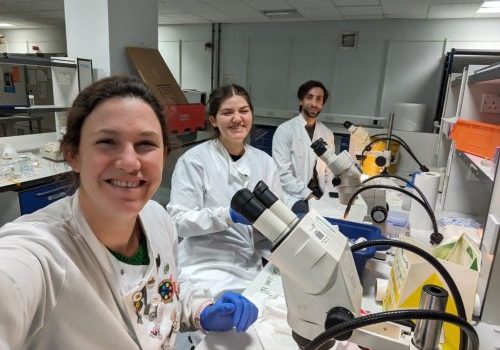 Jess Ivy_Georgios Krilis_Anastasiia Komolova_team photo in lab Three researchers in the lab wearing white coats with microscopes on the bench in front of them.