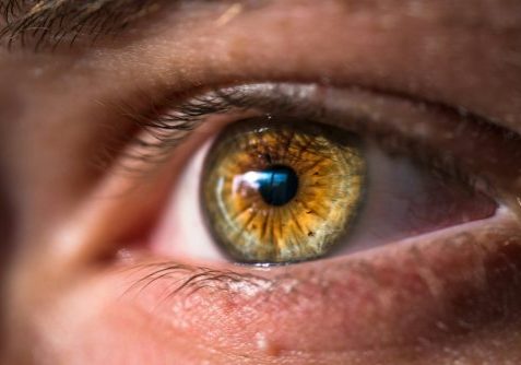 joel-staveley-Uo87K3AkF-4-unsplash joel-staveley-Uo87K3AkF-4-unsplash