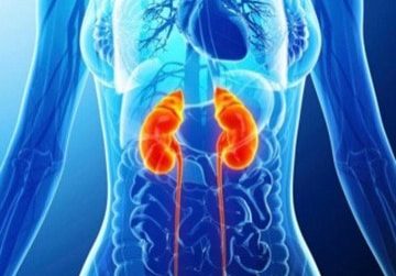 kidney-inflammation Kidney inflammation
