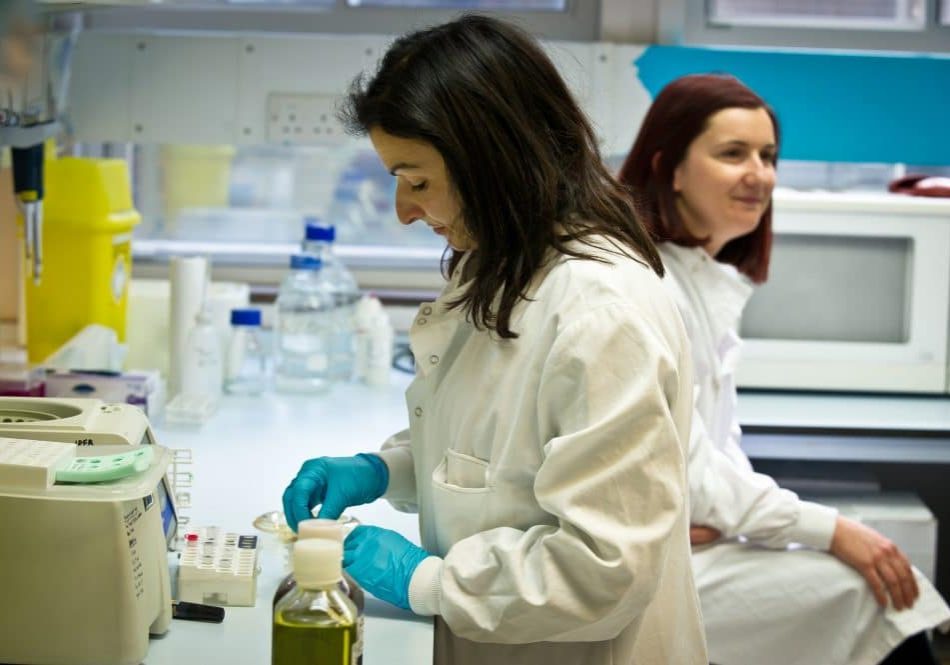 researchers in the lab researchers in the lab